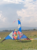 Foligno 2009-113